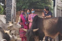 Jhansi29