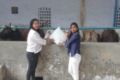 Sirsa16